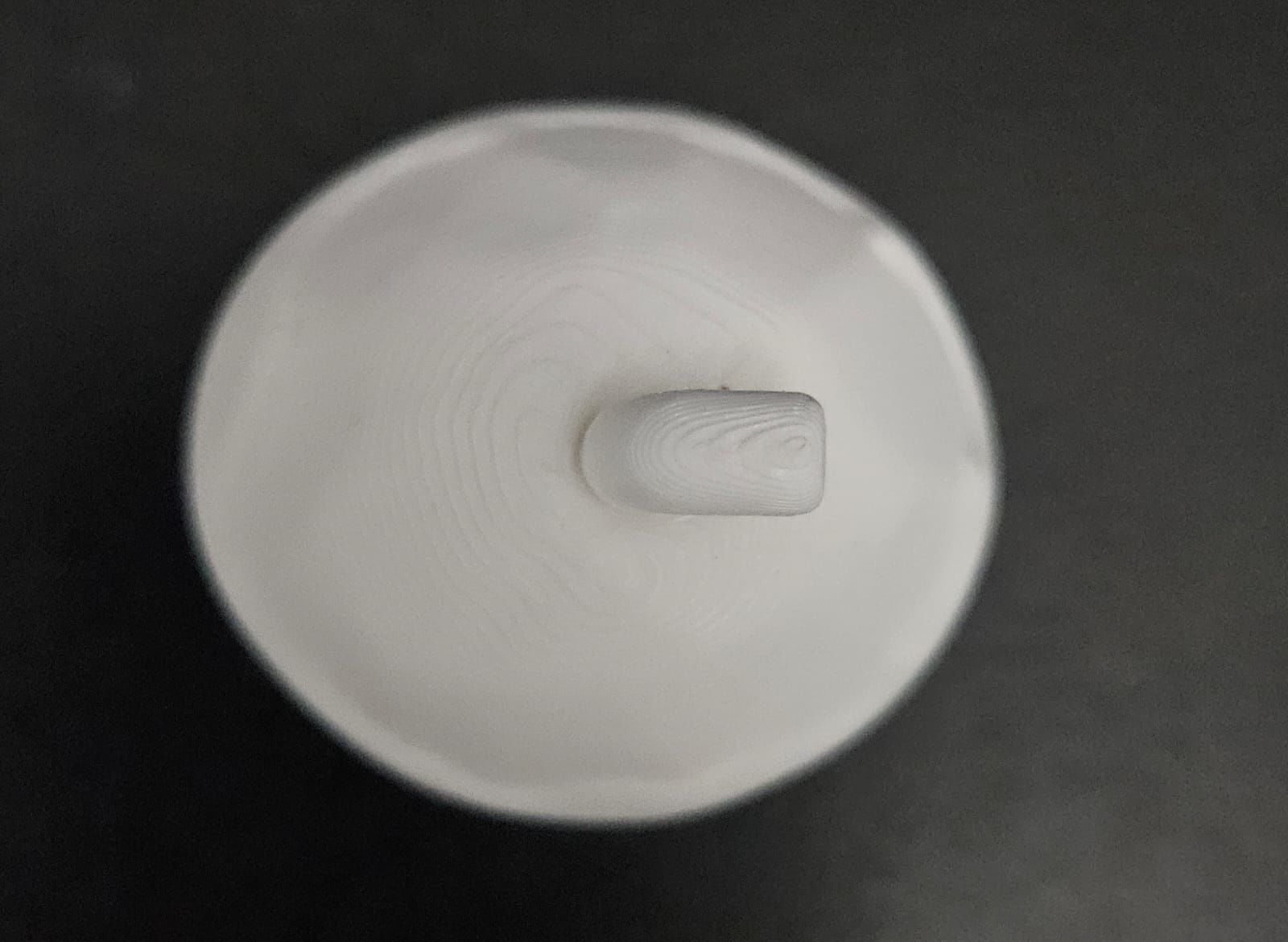 Coconut 3D print model_12