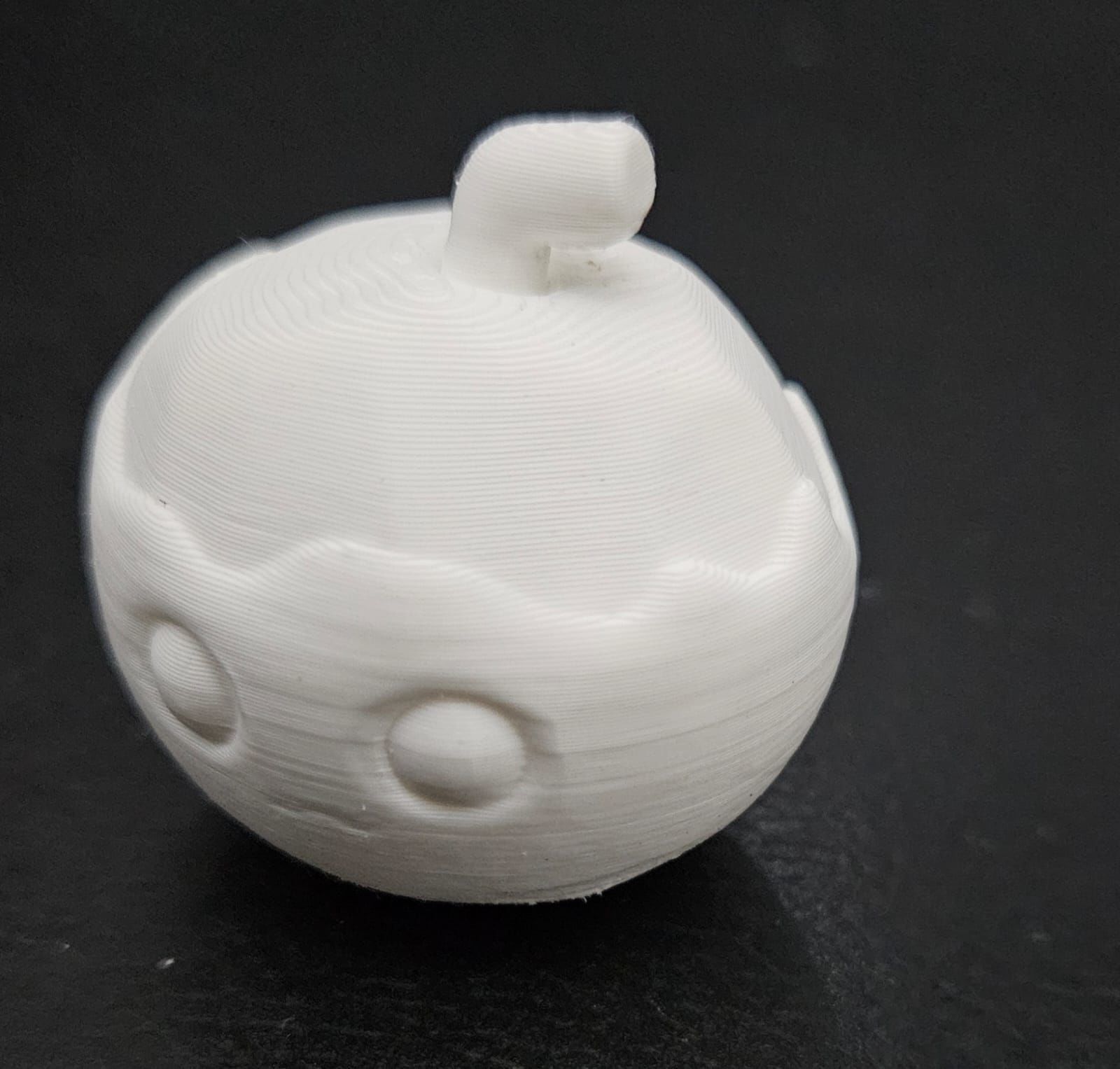 Coconut 3D print model_6