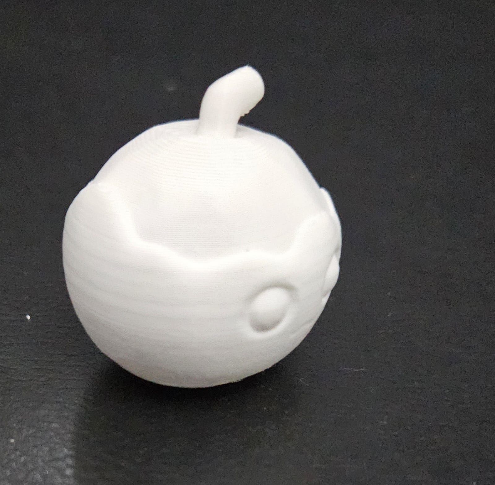 Coconut 3D print model_9