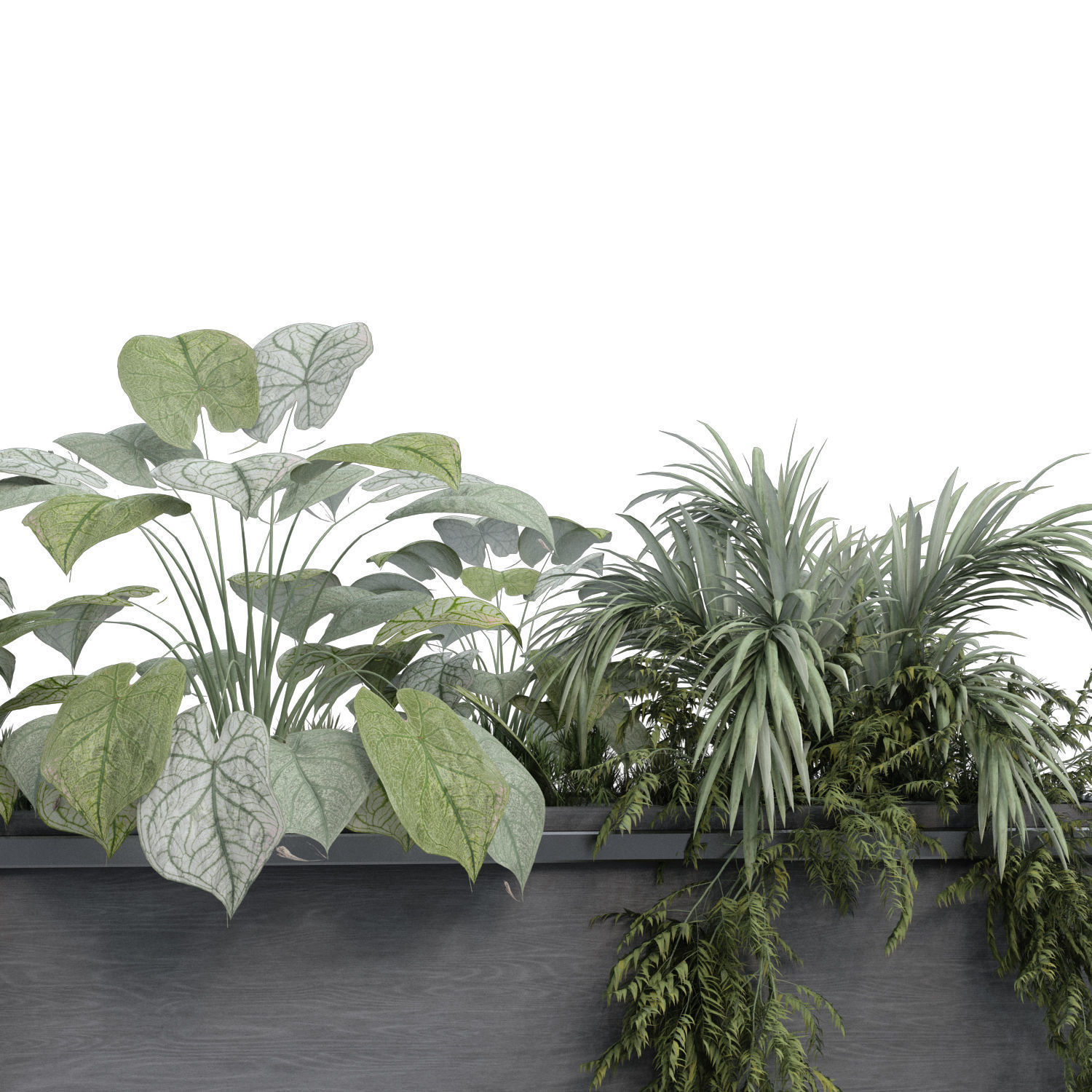 interior plant and decoration partition set 341 3D model_4