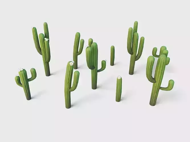 Saguaro Cactus Low-poly 3D model