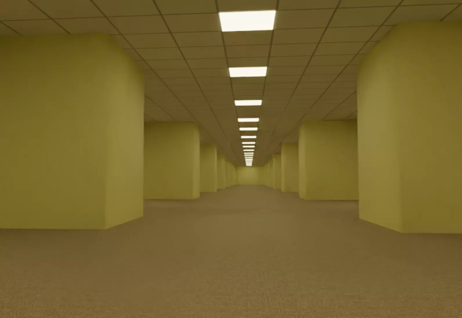 Backrooms Lateral Division 3D model