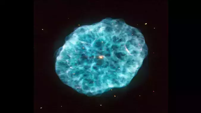 Oyster Nebula