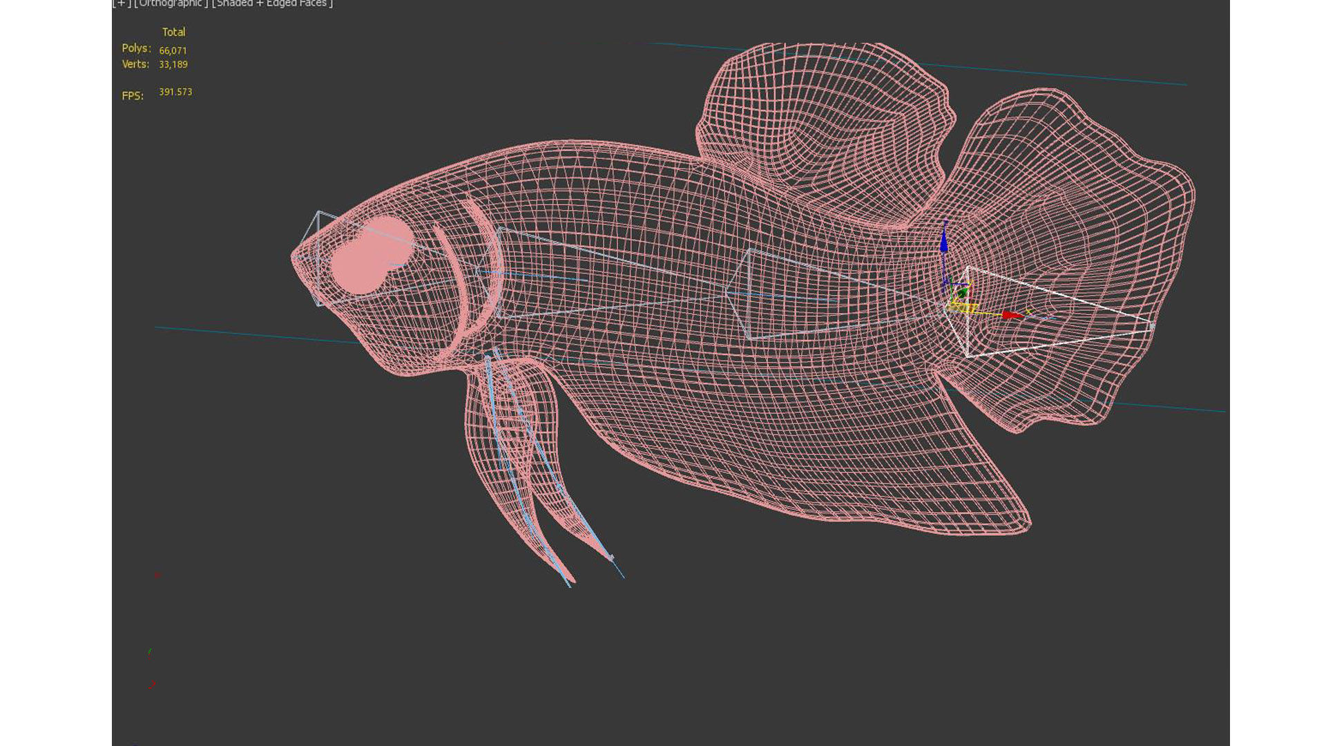 Betta Fish 3D model_9