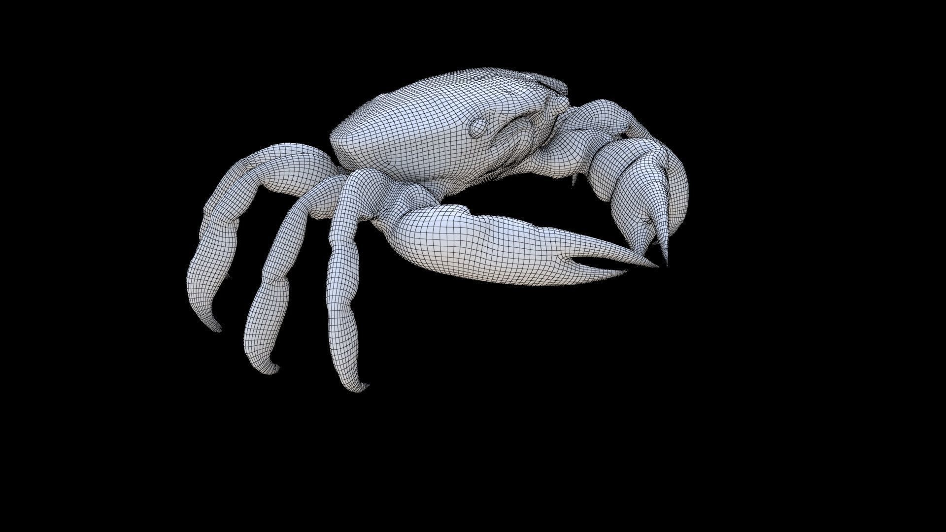 Crab 3D model_5
