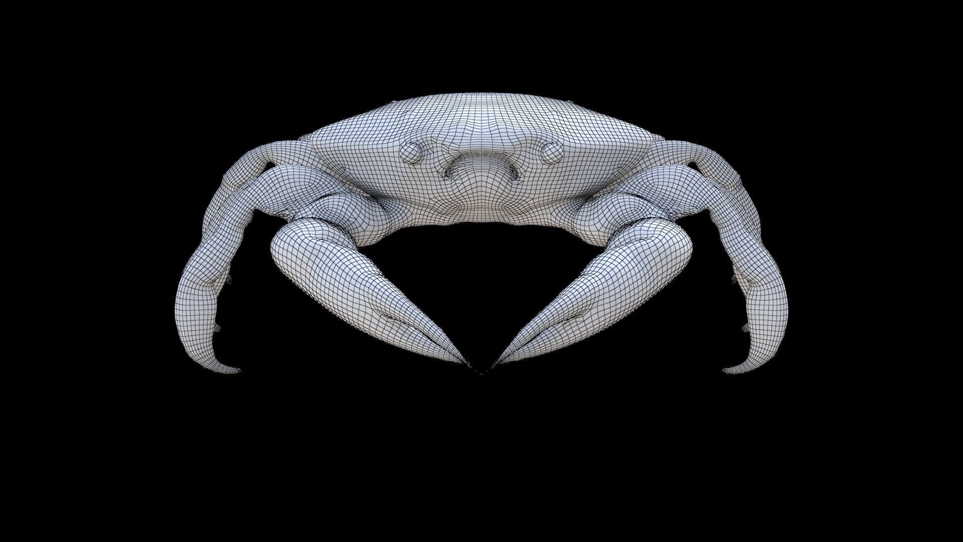 Crab 3D model_6