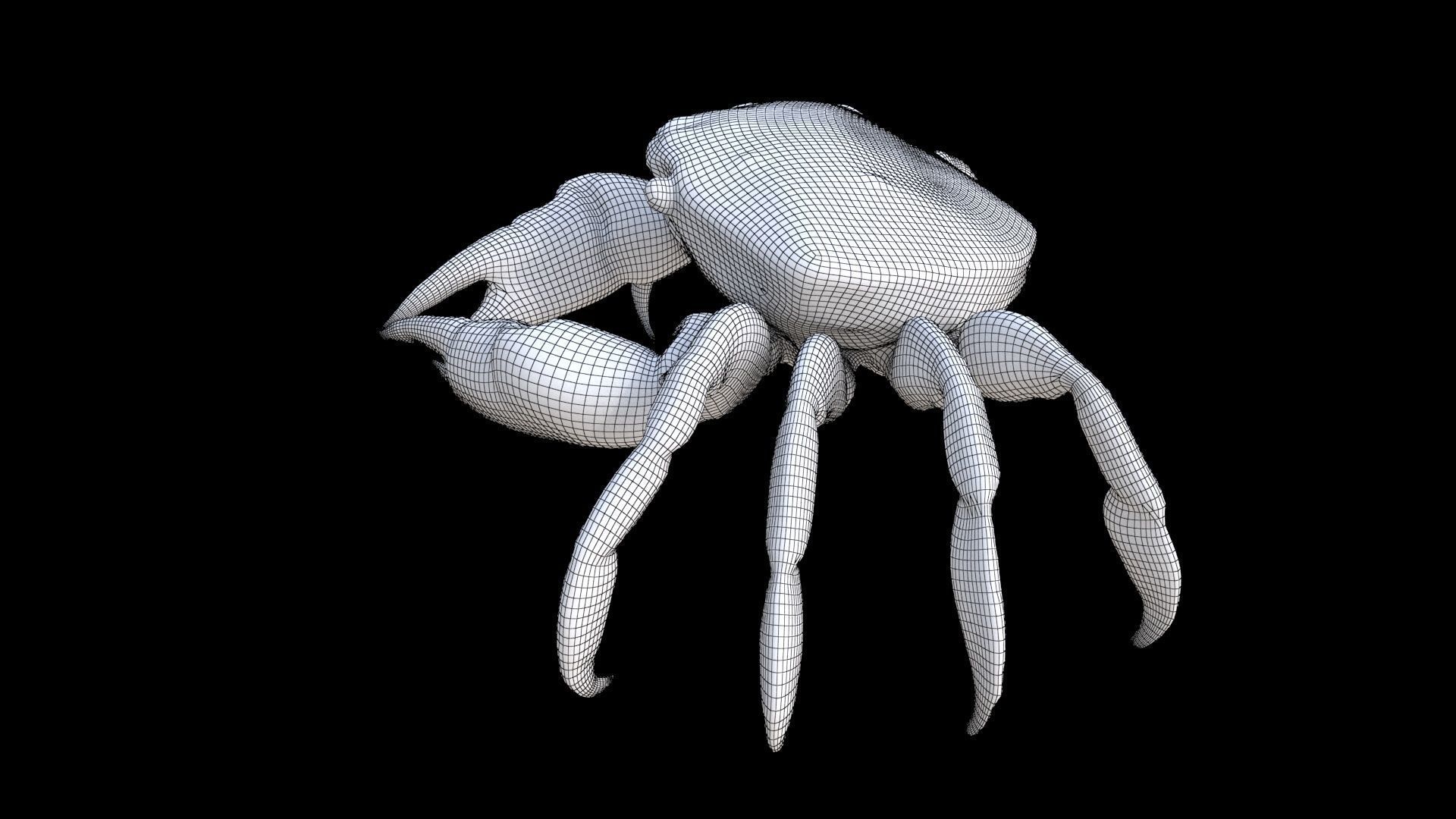 Crab 3D model_7