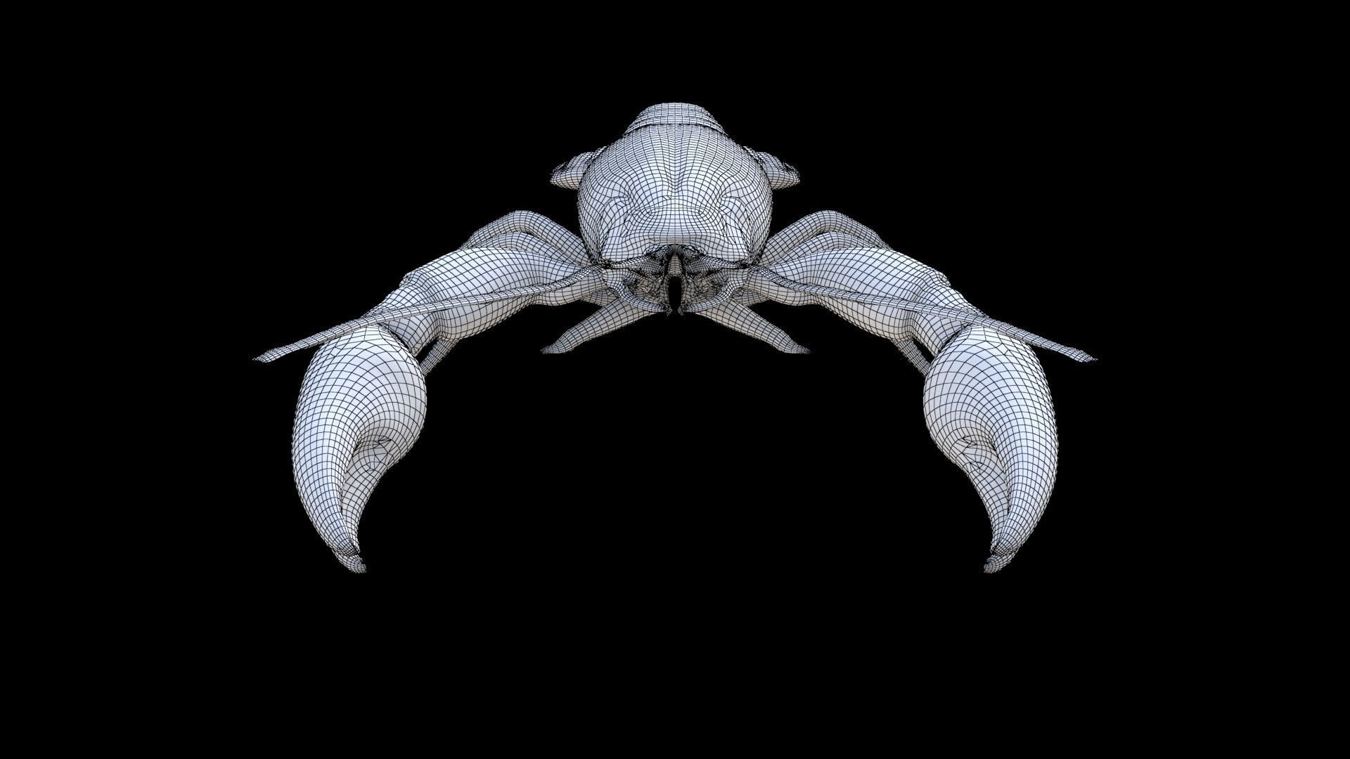 Crayfish 3D model_6