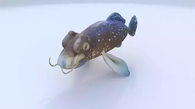 Cuttlefish 3D model