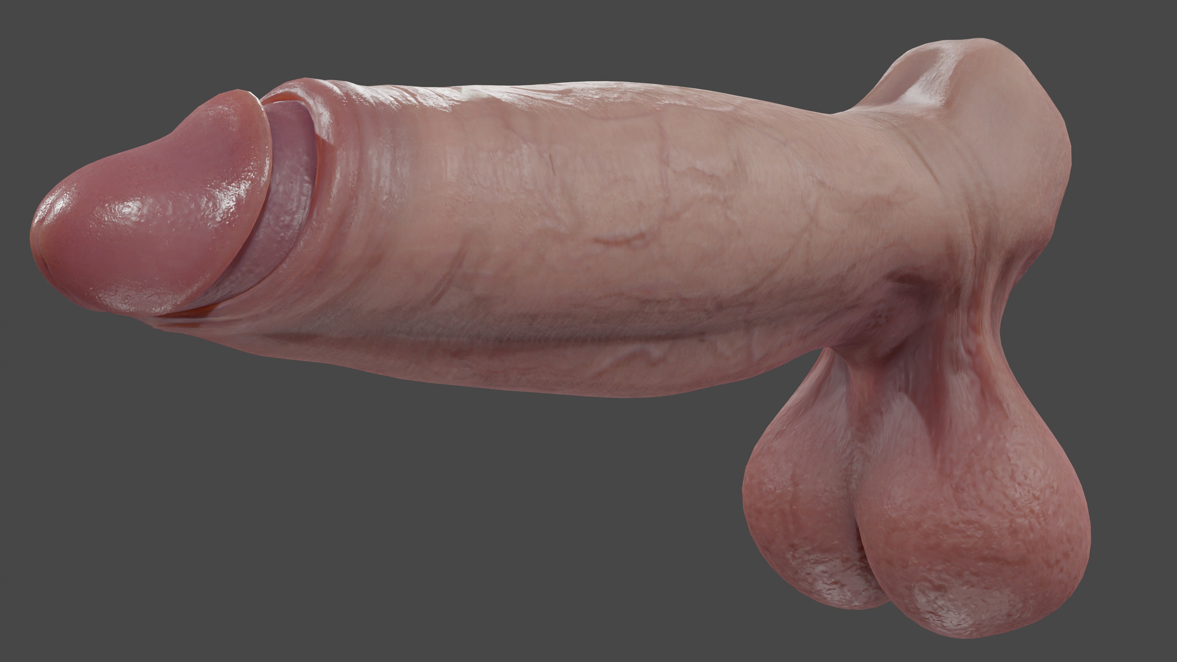 Male Anatomy Penis and Balls Rigged Low-poly 3D model_4