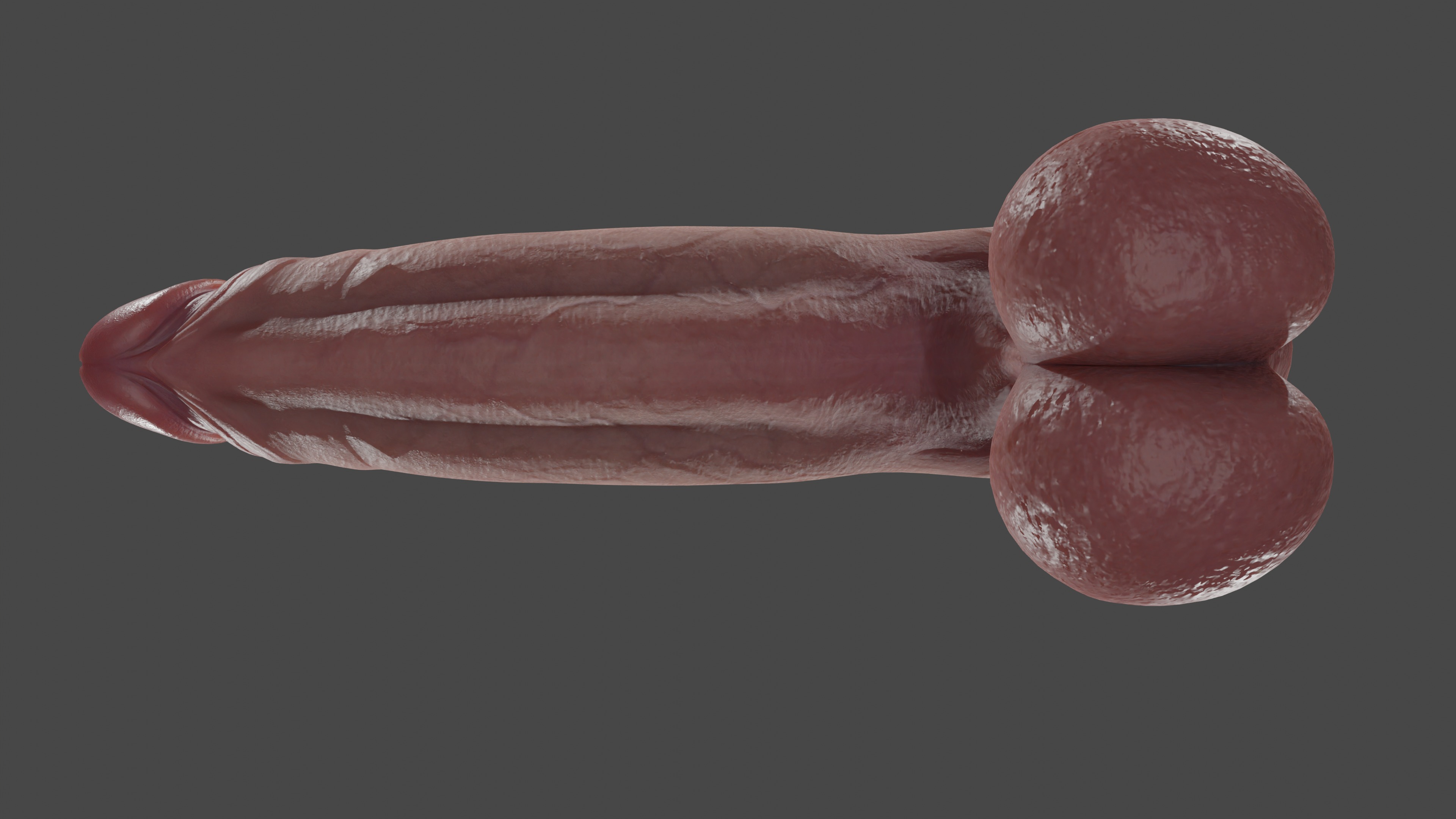 Male Anatomy Penis and Balls Rigged Low-poly 3D model_6