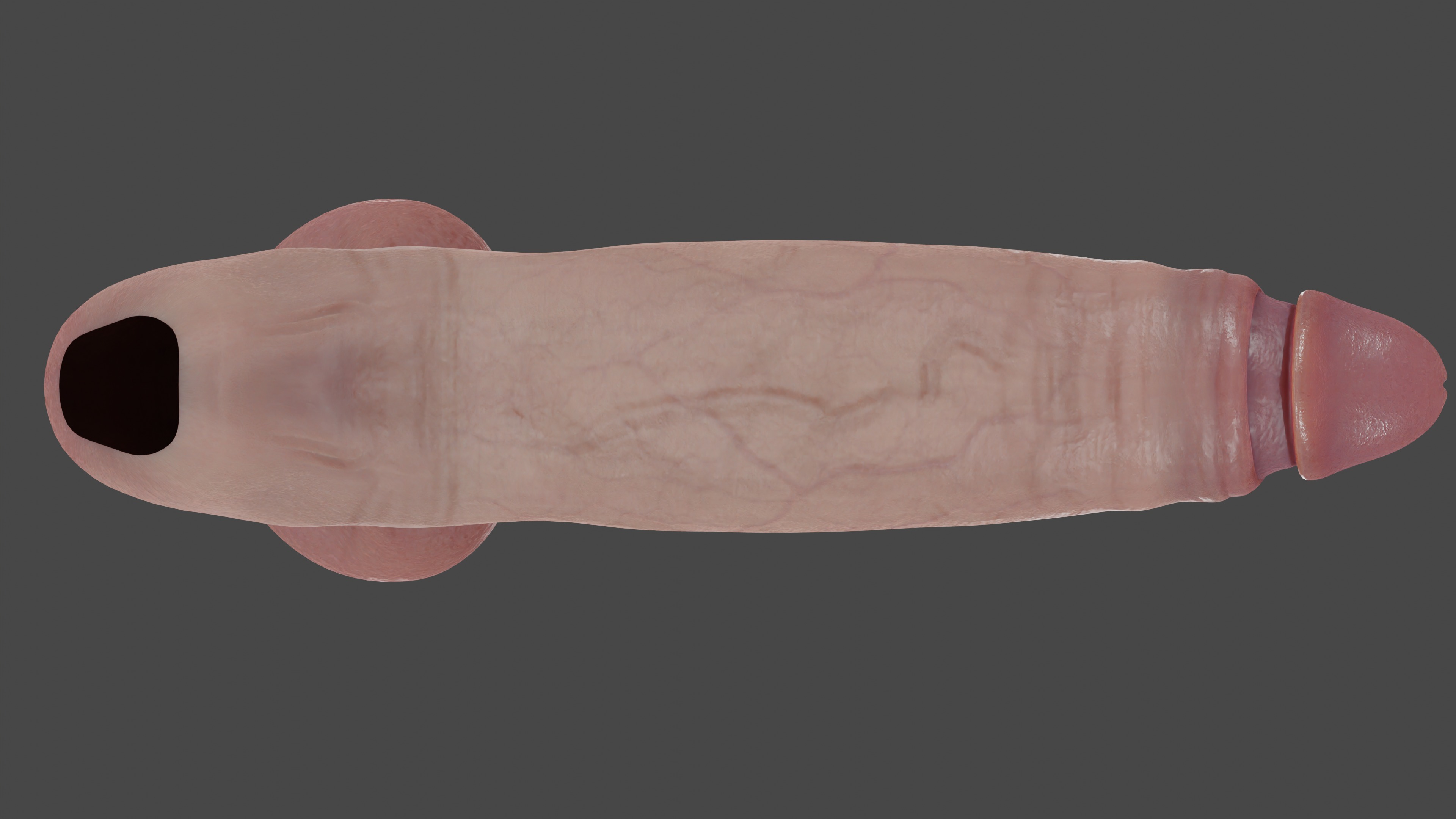 Male Anatomy Penis and Balls Rigged Low-poly 3D model_7