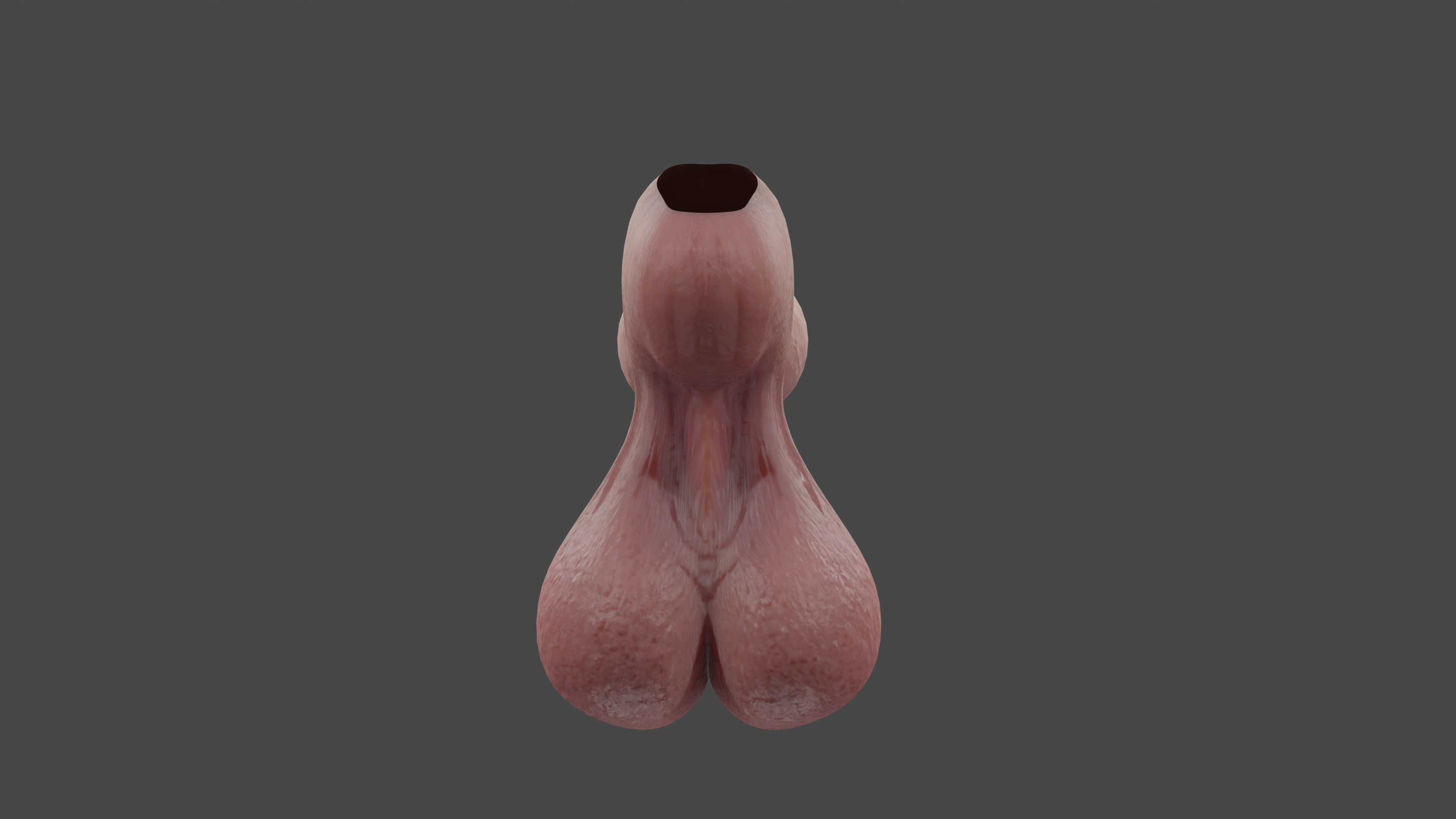 Male Anatomy Penis and Balls Rigged Low-poly 3D model_8