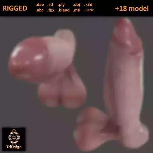 Male Anatomy Penis and Balls Rigged Low-poly 3D model