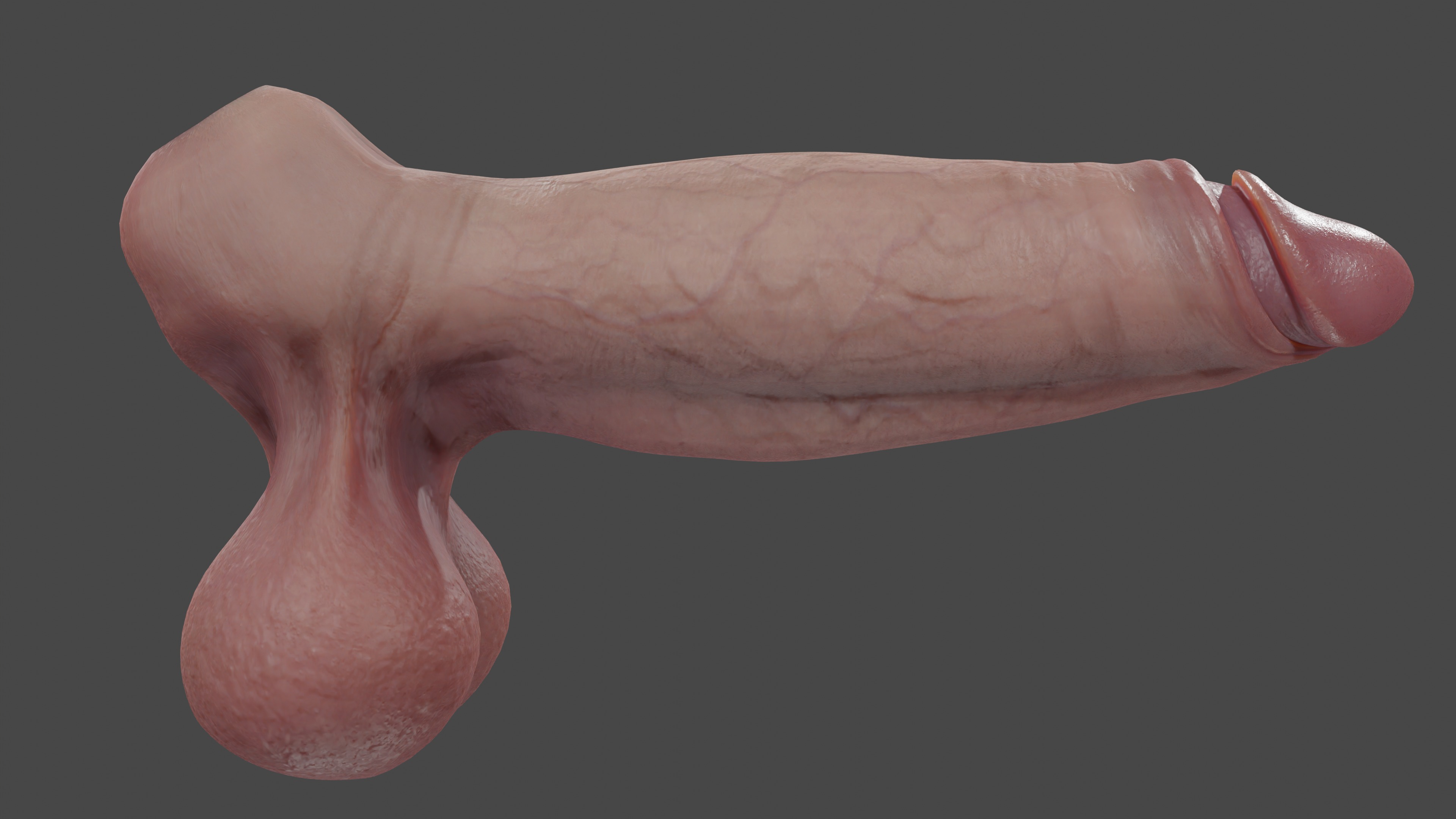 Male Anatomy Penis and Balls Rigged Low-poly 3D model_3