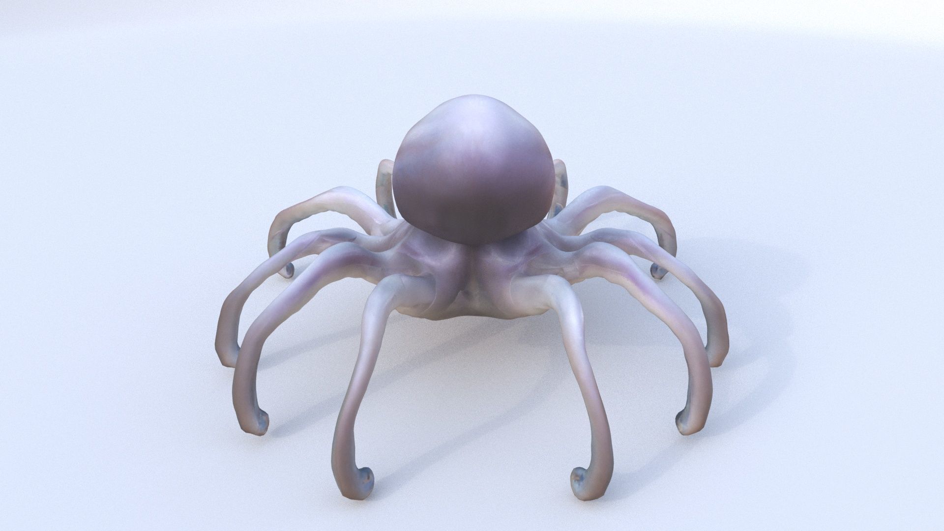 Squid 3D model_4