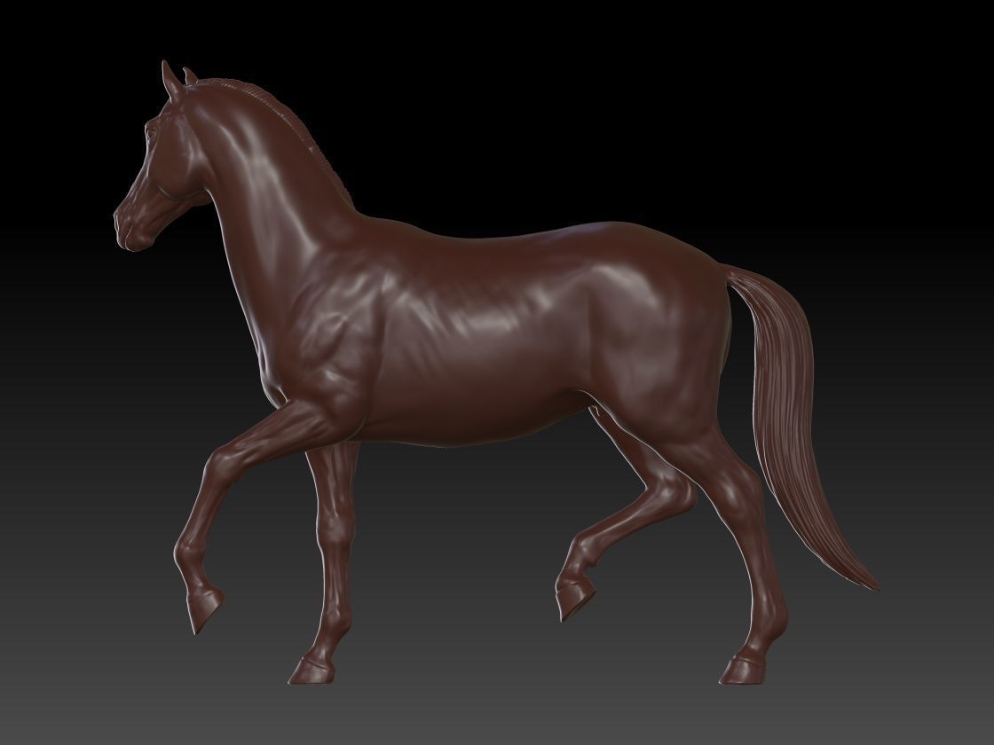 Horse animal 3D print model_2