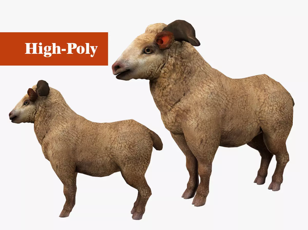 fluffy ram sheep rig  high-poly textured 3D model_0