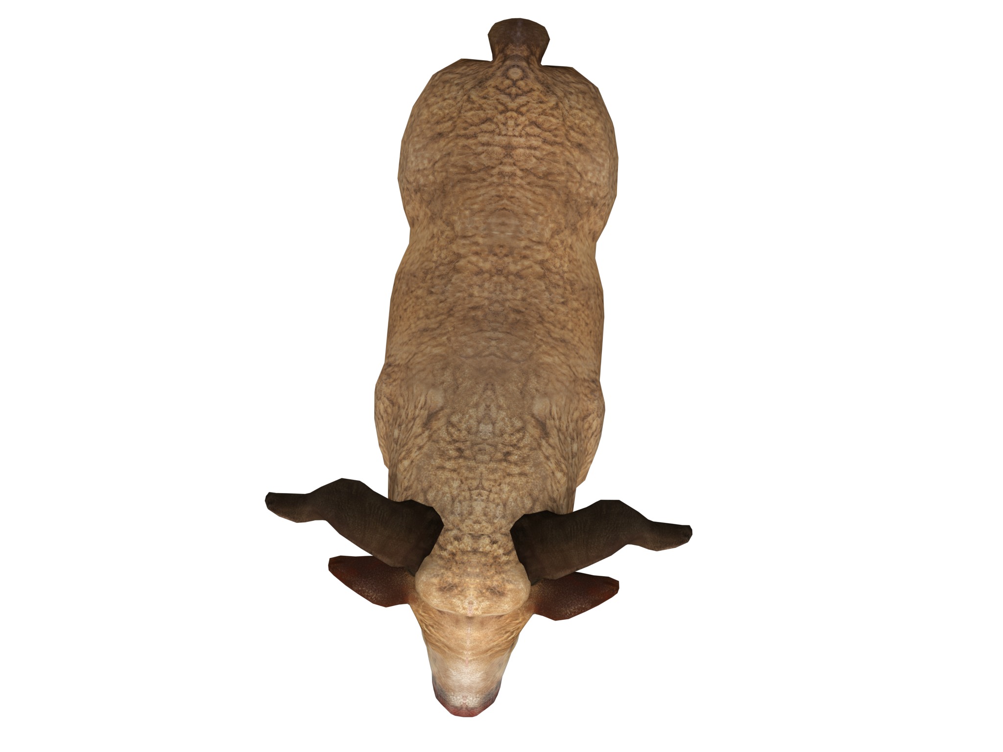 fluffy ram sheep rig  high-poly textured 3D model_14