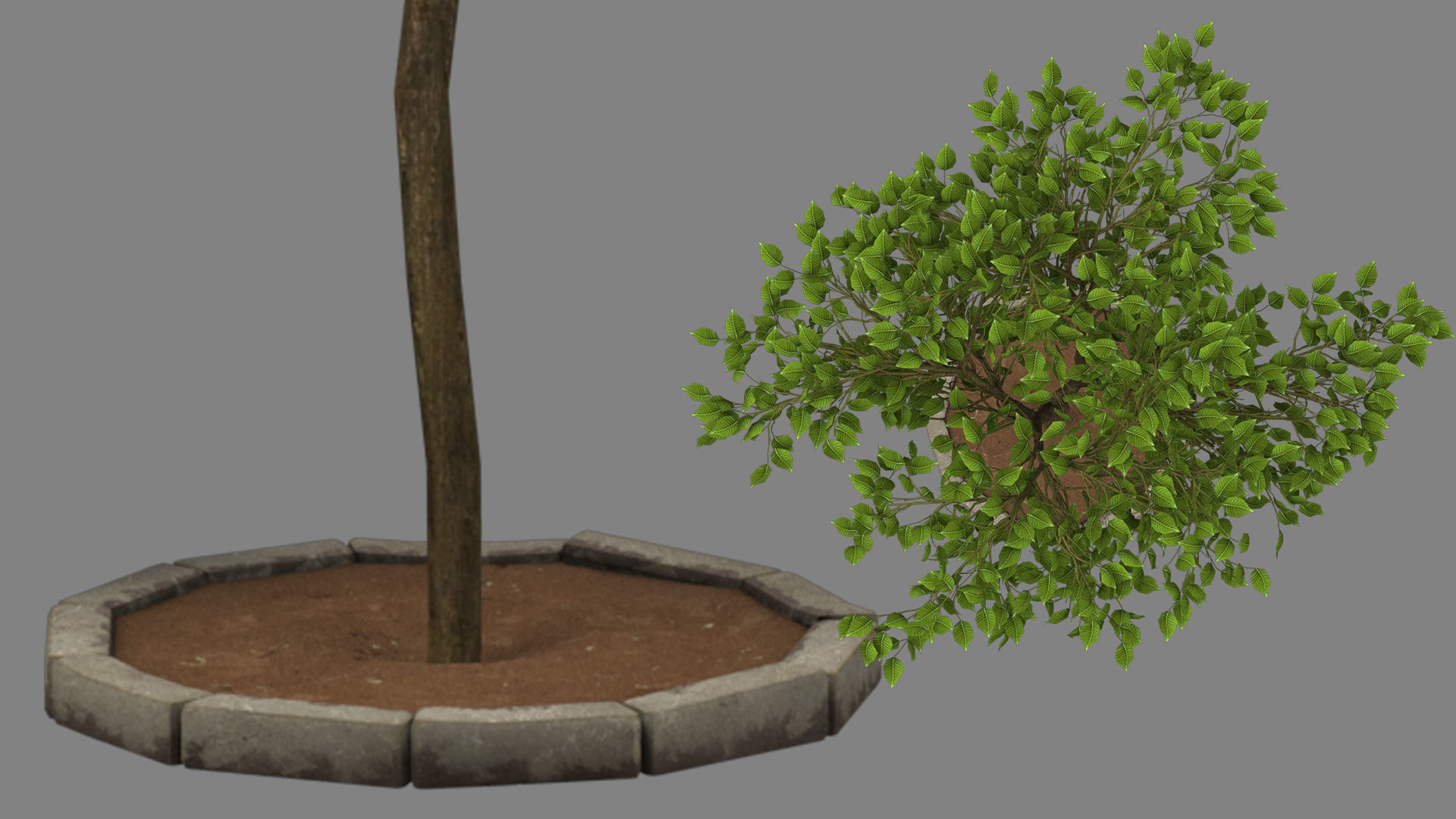 tree   high-poly textured  3D model_17
