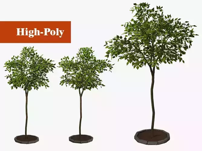 tree   high-poly textured 