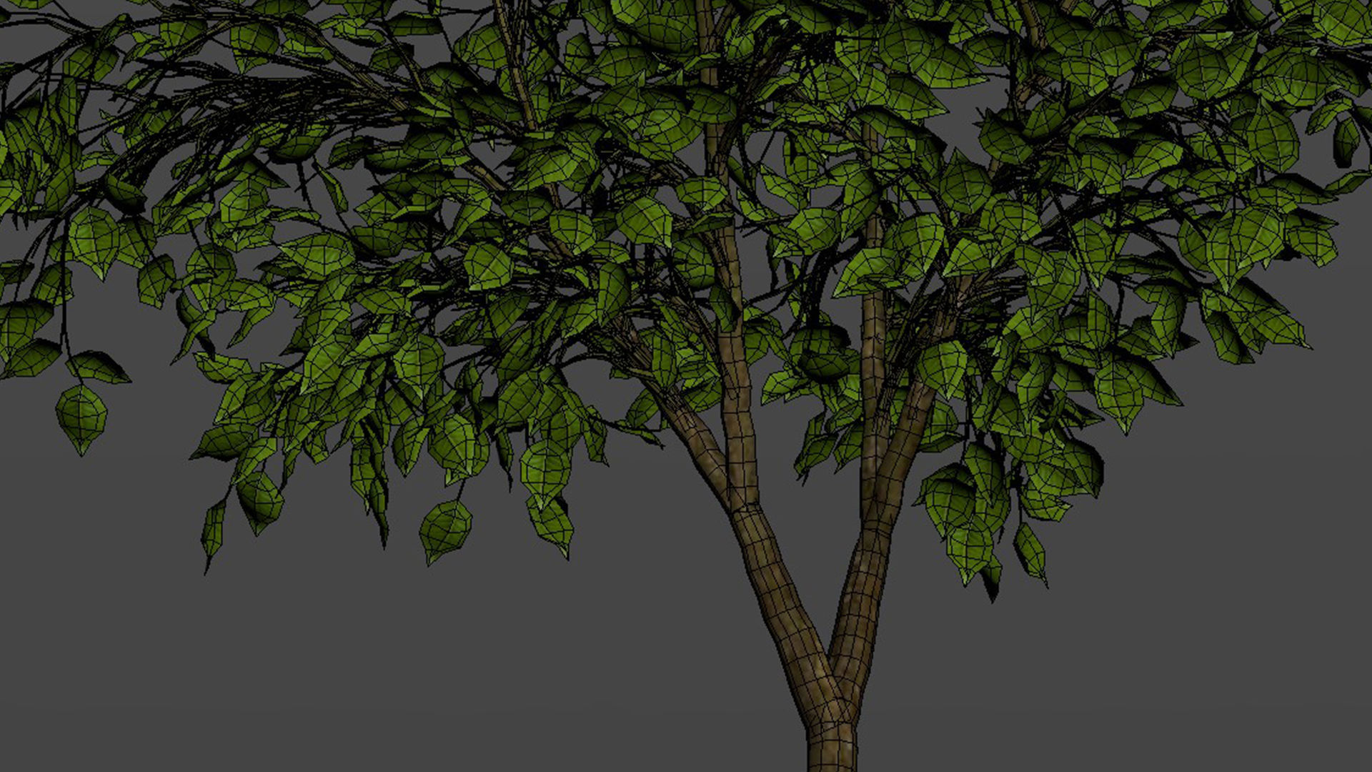 tree   high-poly textured  3D model_12