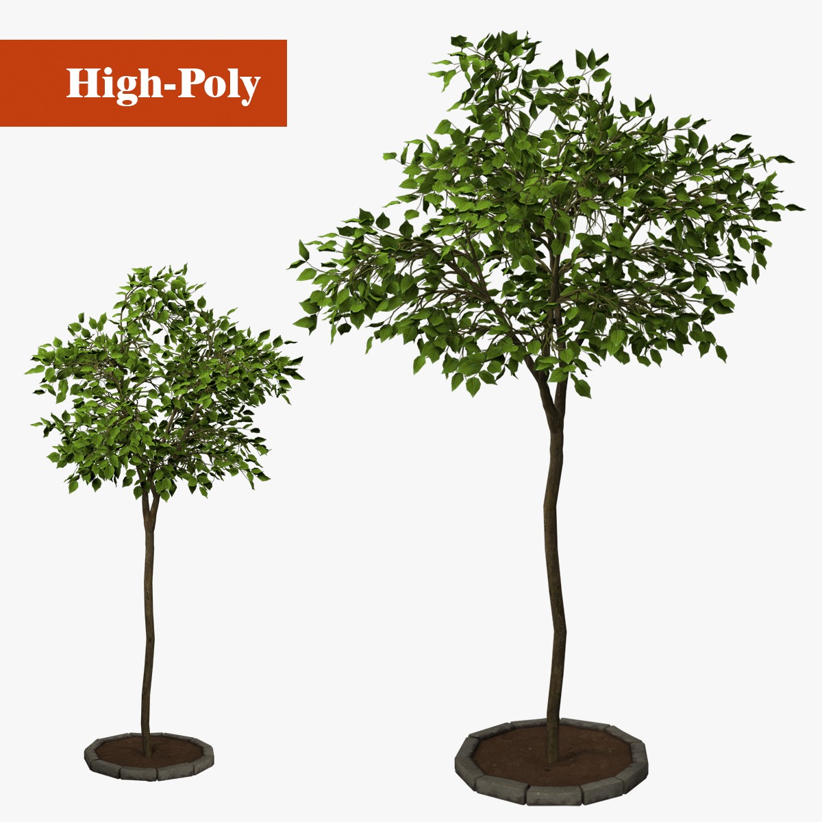 tree   high-poly textured  3D model_1