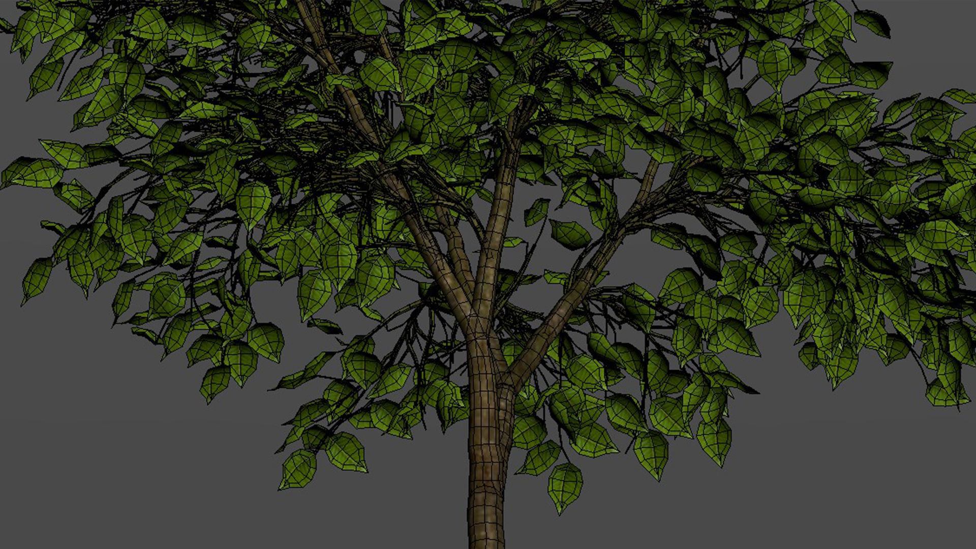 tree   high-poly textured  3D model_13