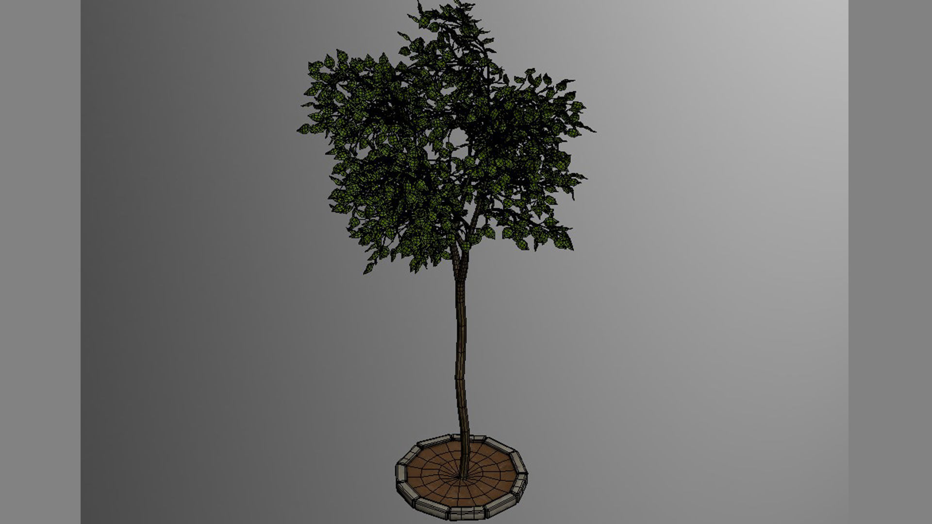 tree   high-poly textured  3D model_14