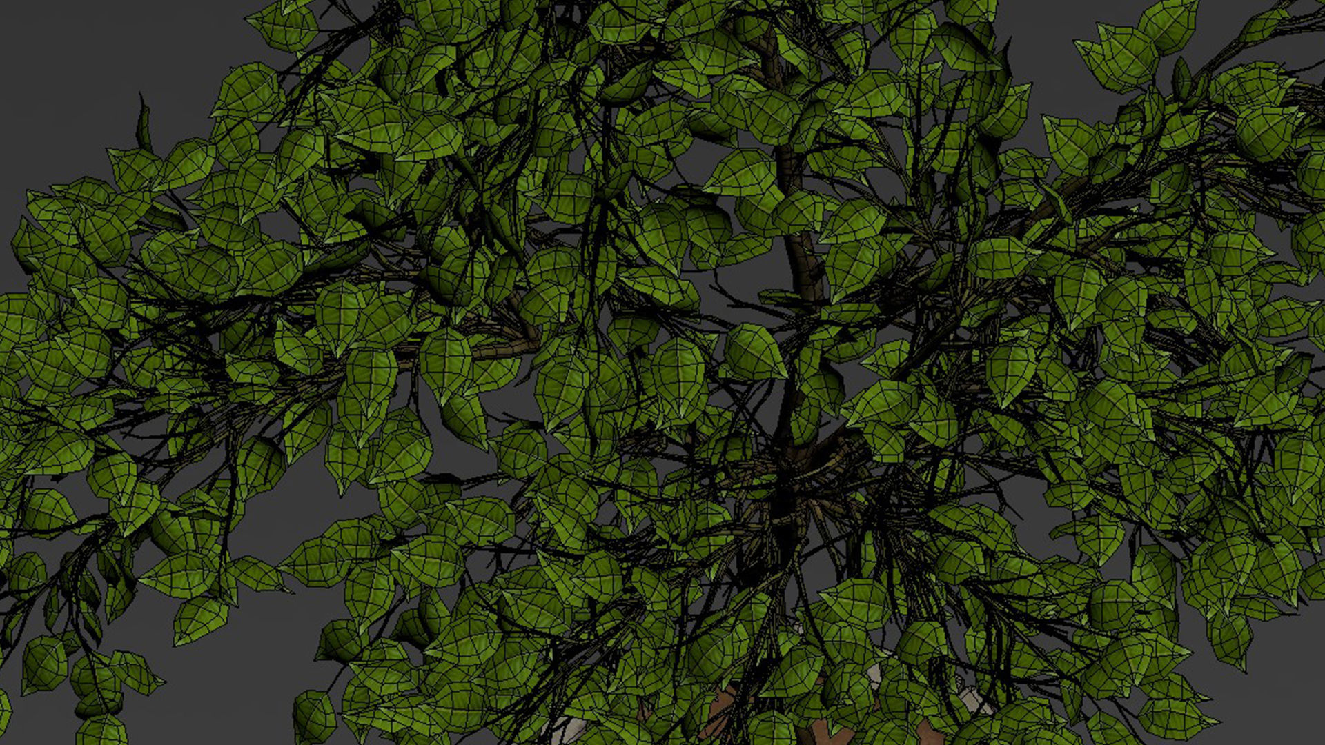 tree   high-poly textured  3D model_10