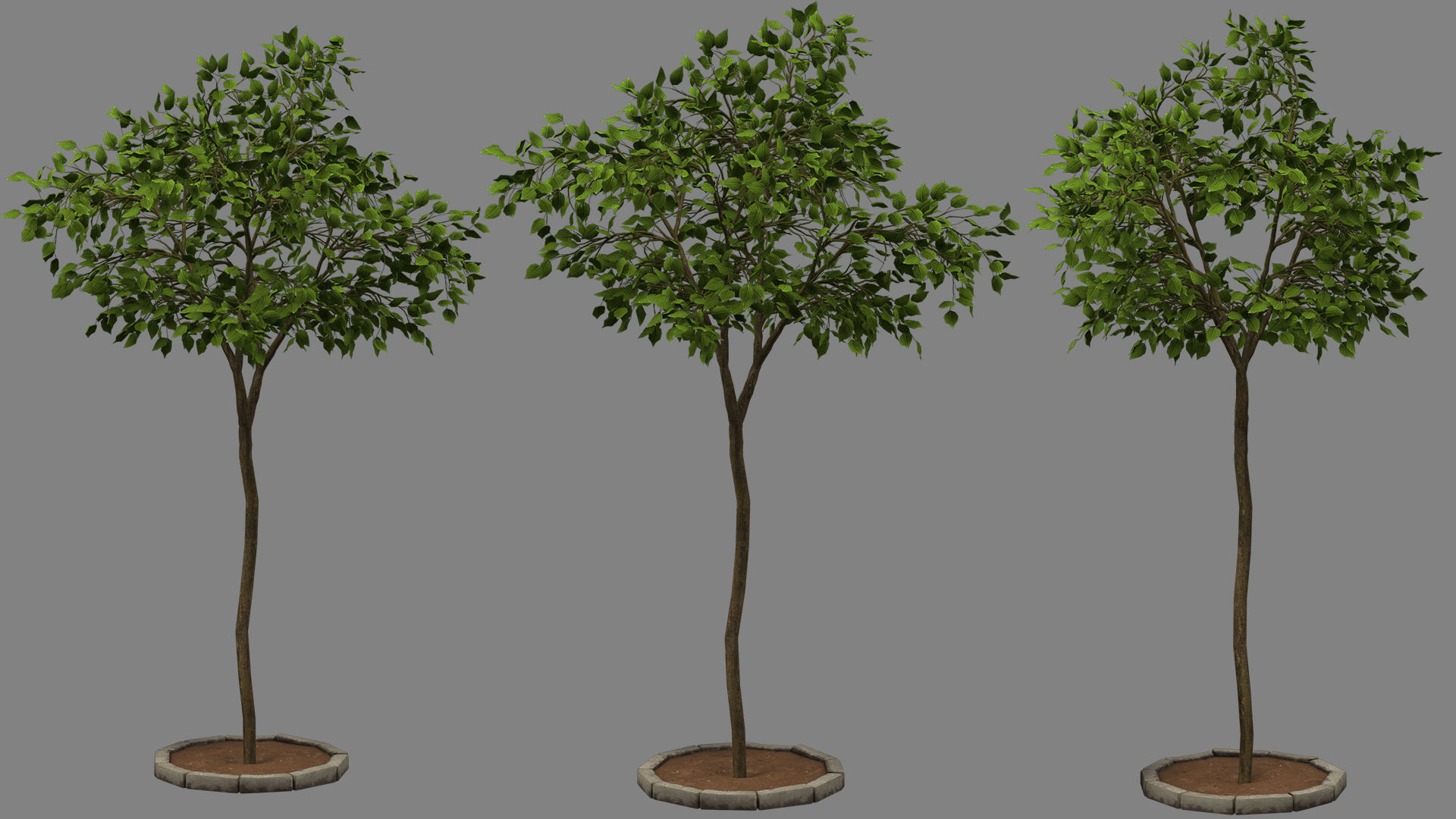 tree   high-poly textured  3D model_2