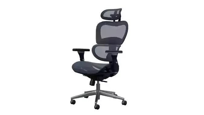 Egonomic Office Chair