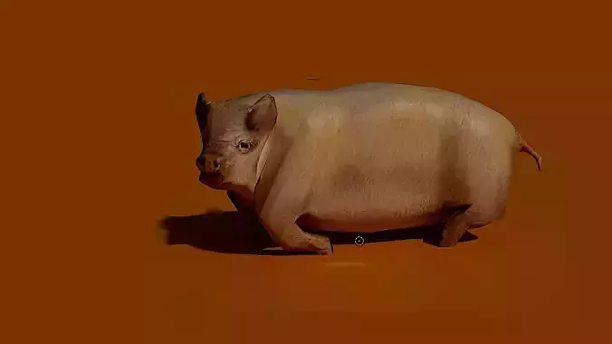 Low poly pig