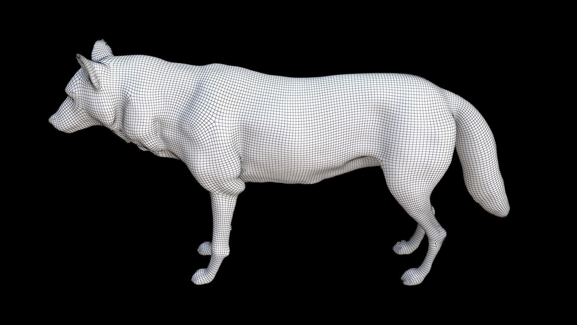 Wolf 3D model_7