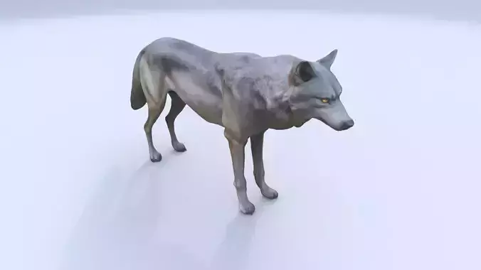 Wolf 3D model