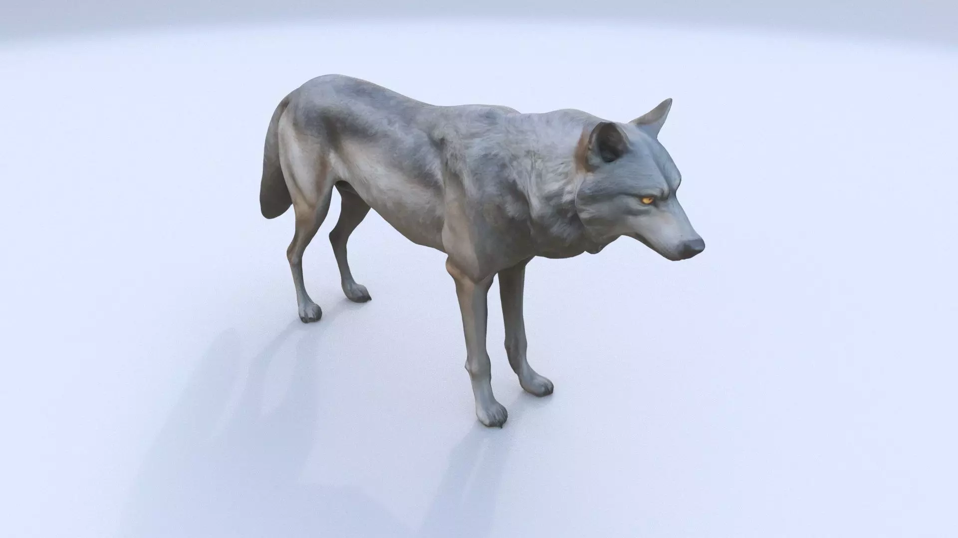 Wolf 3D model_0