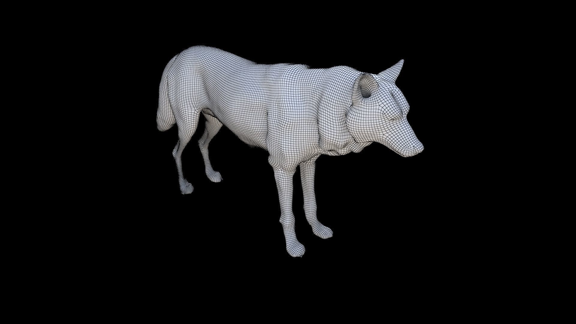 Wolf 3D model_5