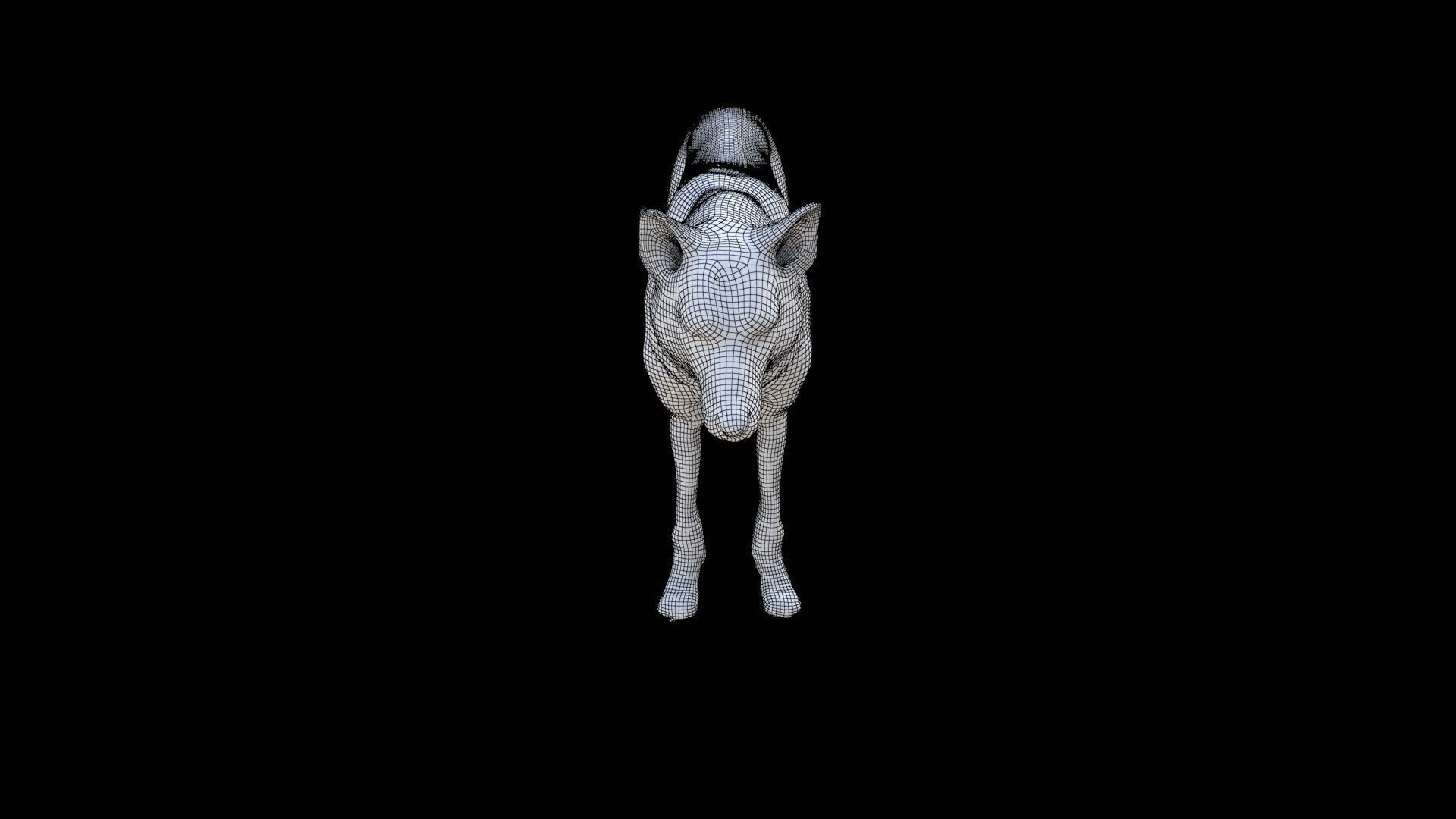 Wolf 3D model_6