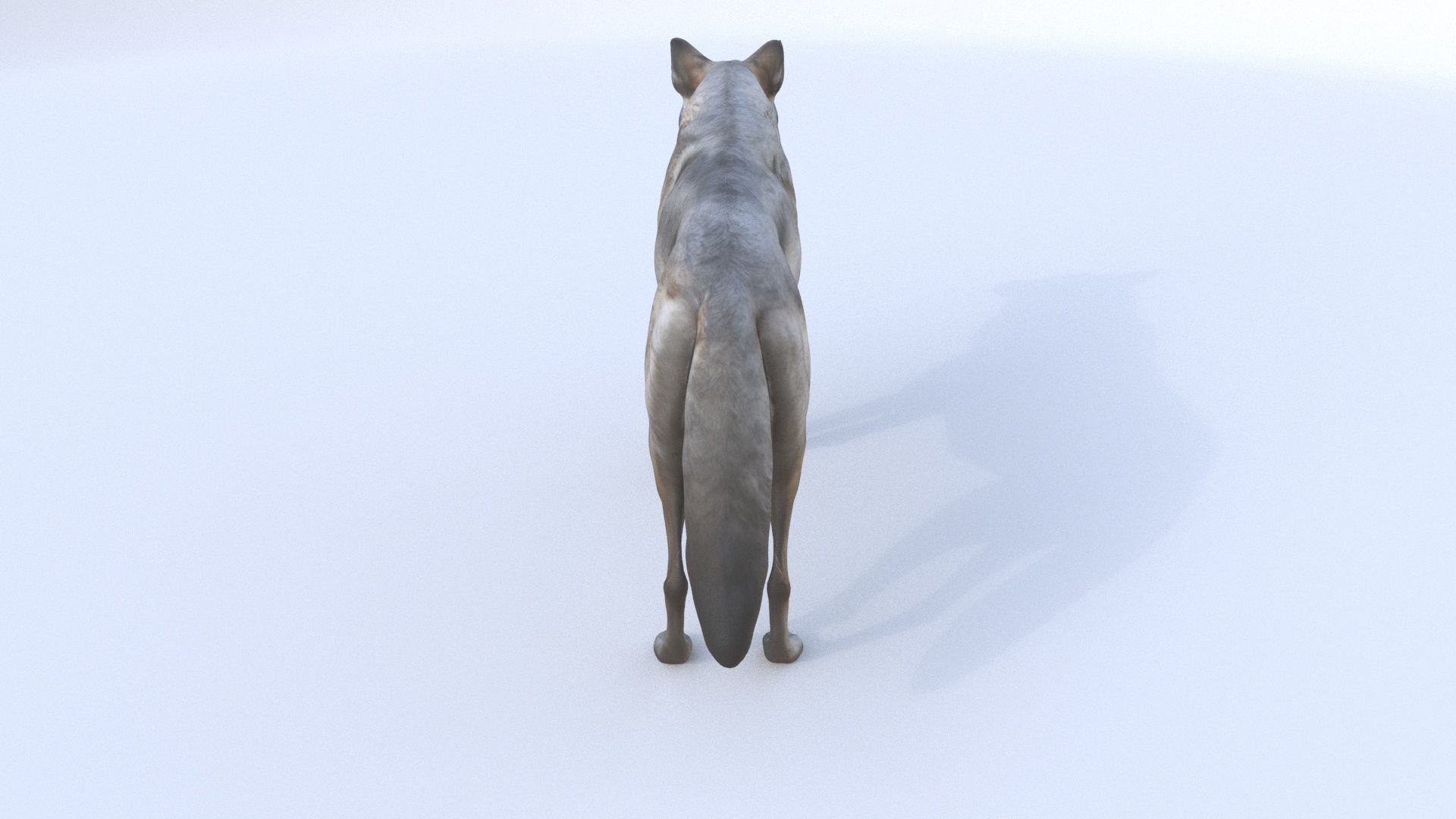 Wolf 3D model_4
