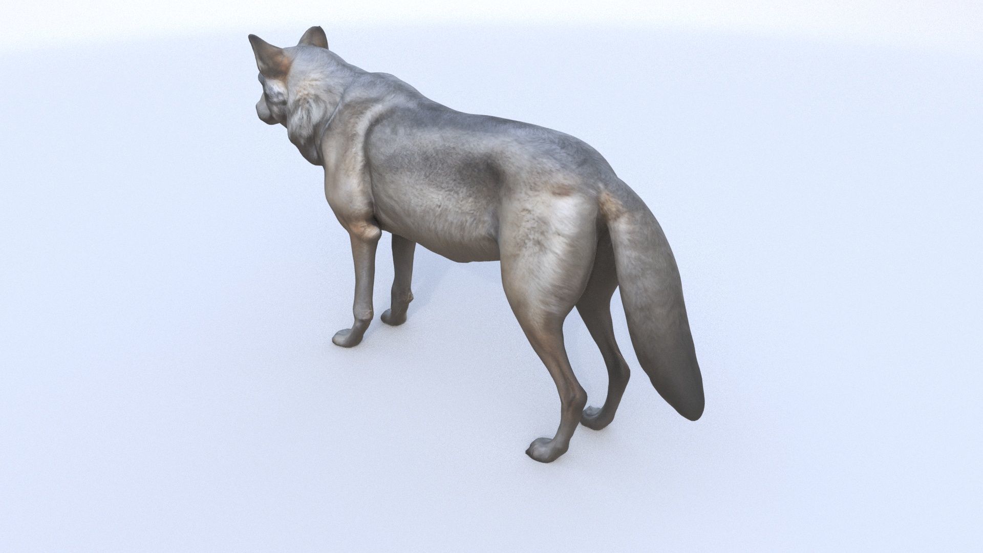 Wolf 3D model_3