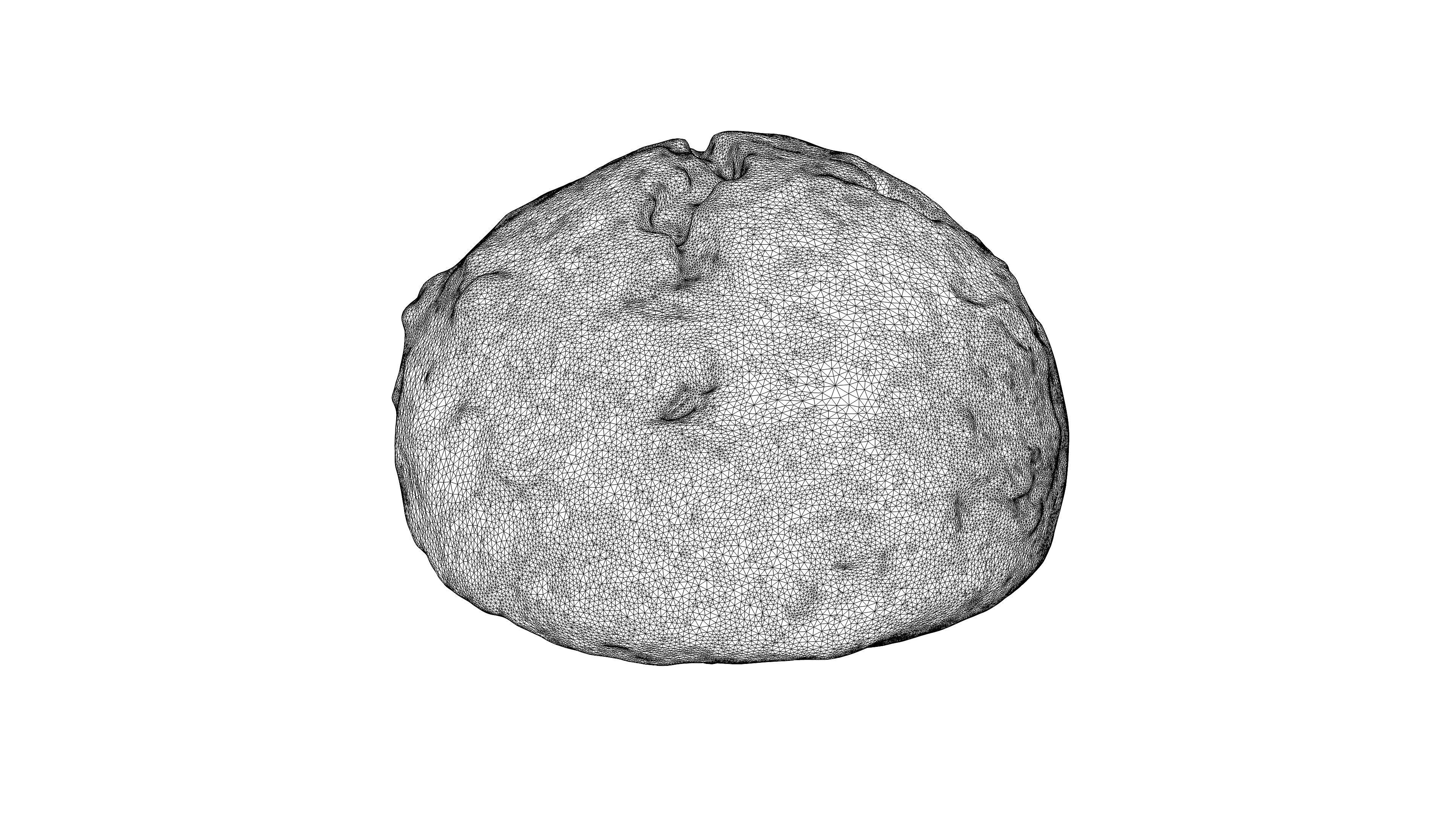 Photorealistic 3D scan of gingerbread cookies Low-poly 3D model_20