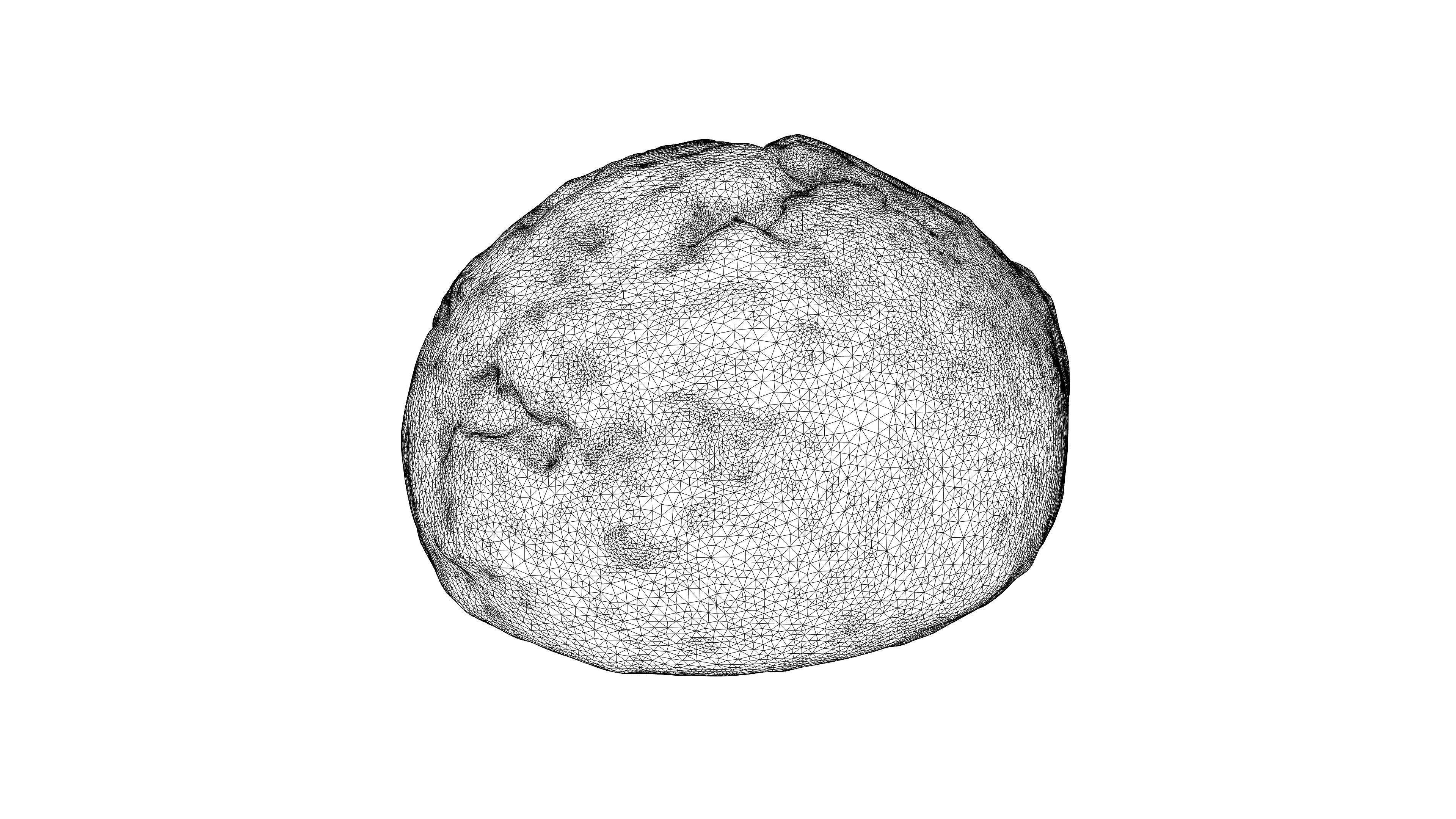 Photorealistic 3D scan of gingerbread cookies Low-poly 3D model_22