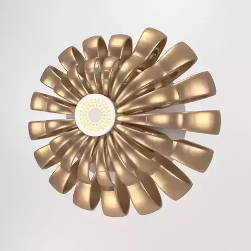 Parametric Spotlight