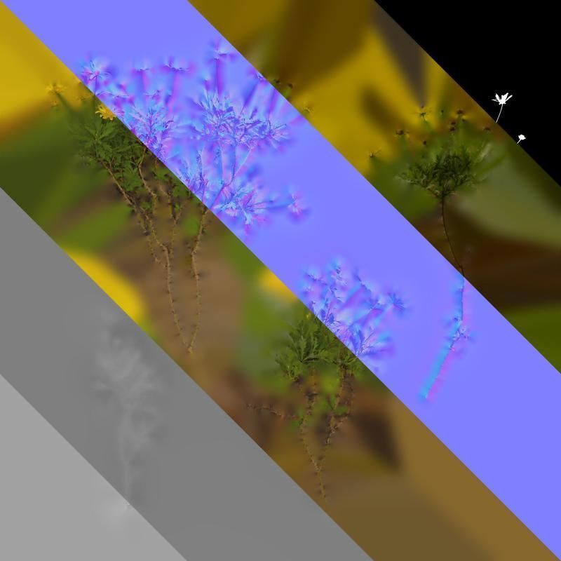 Anydrafts Euryops chrysanthemoides Atlas 04 Texture_8