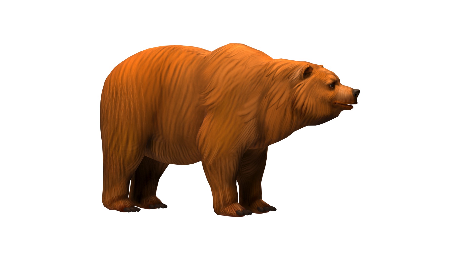 bear  rig  high-poly  textured  3D model_5