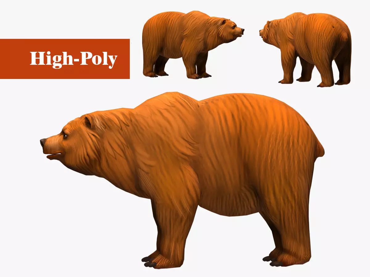 bear  rig  high-poly  textured  3D model_0