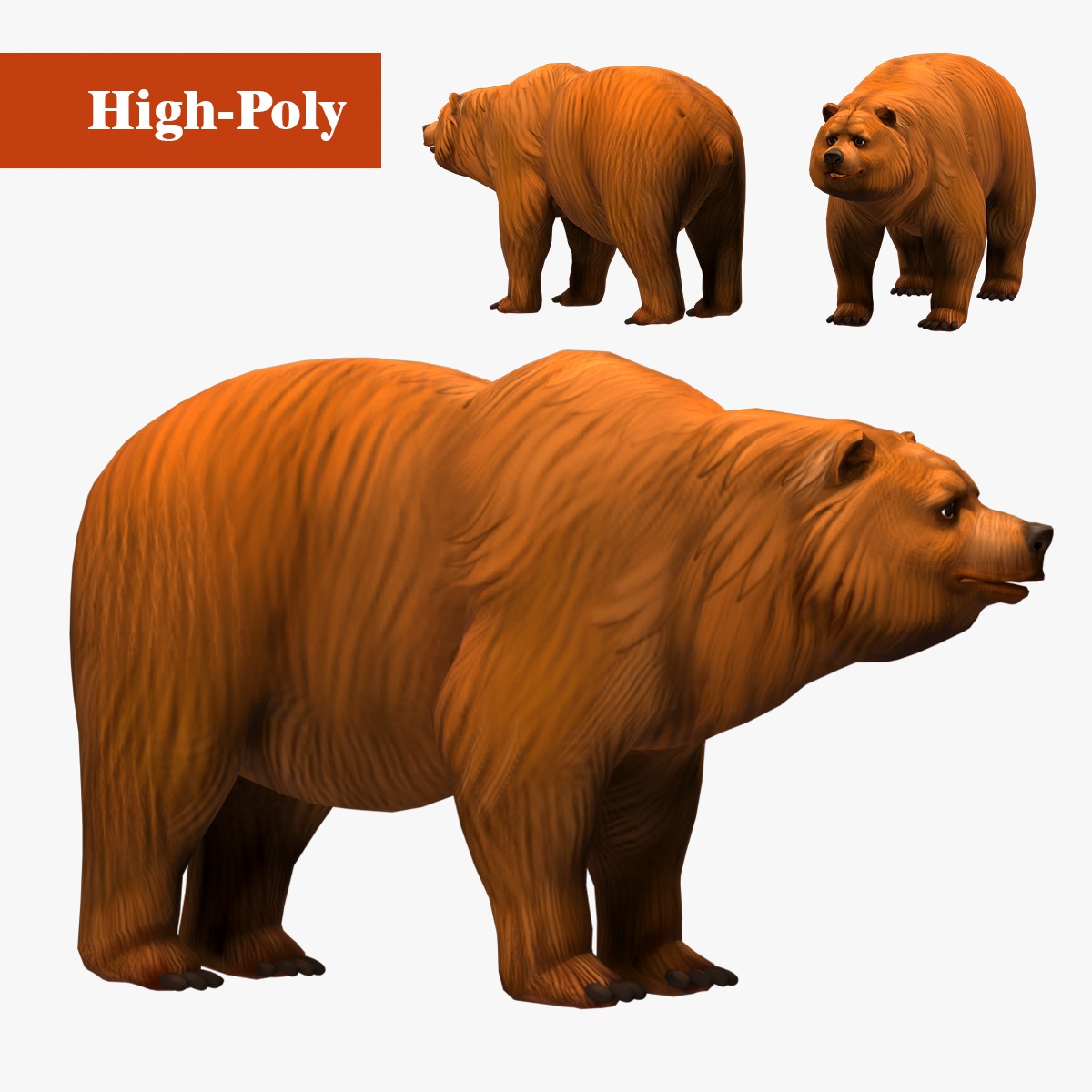 bear  rig  high-poly  textured  3D model_1