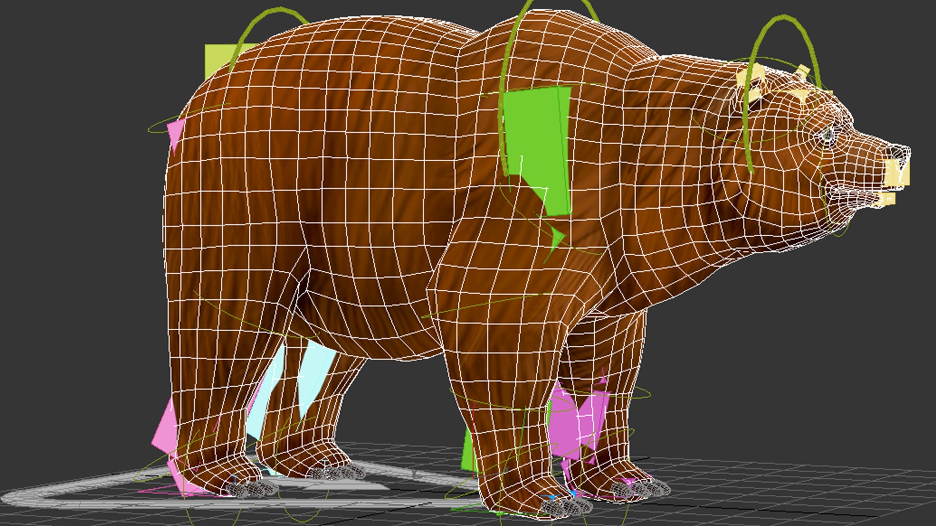 bear  rig  high-poly  textured  3D model_11