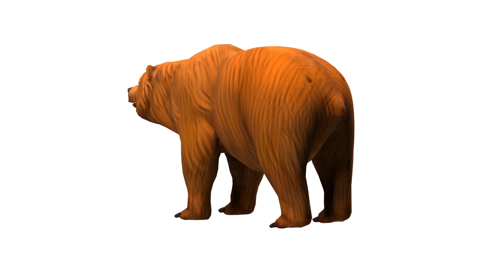 bear  rig  high-poly  textured  3D model_6