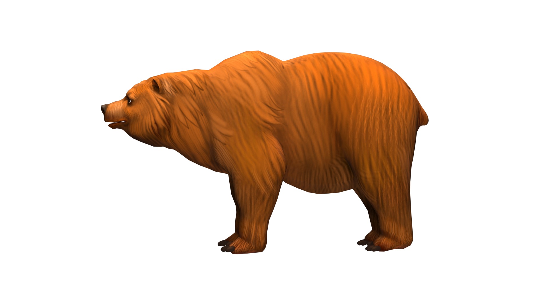 bear  rig  high-poly  textured  3D model_7